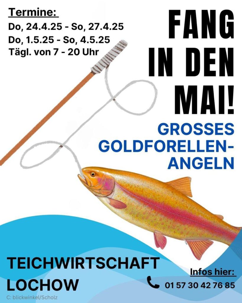 Fang in den Mai
Flyer
Goldforelle an Angelrute